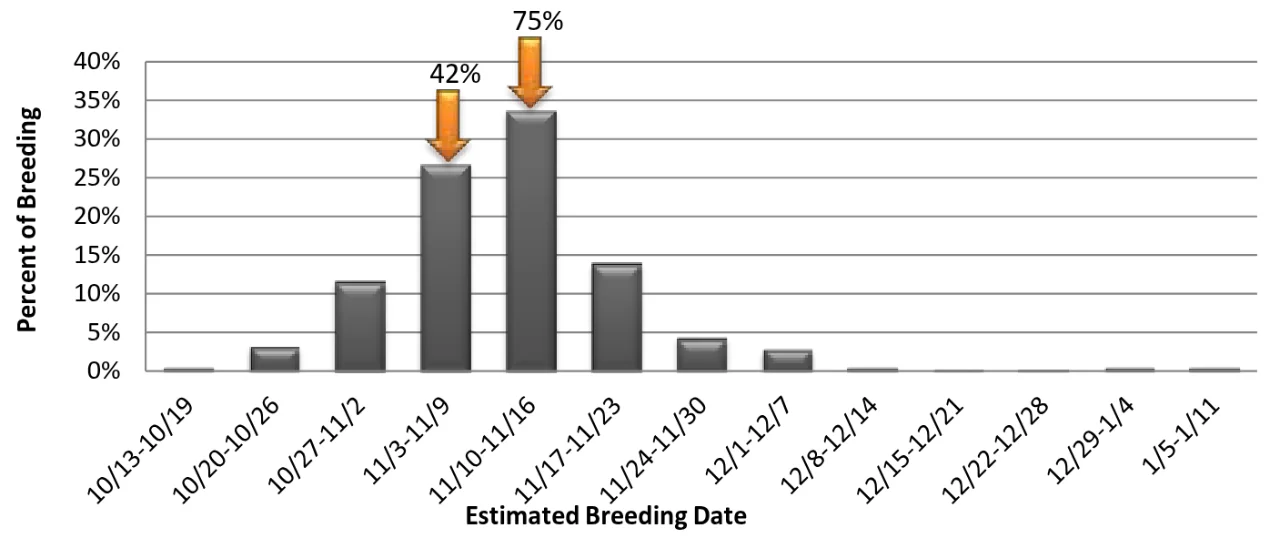 Bar chart of the percent of Missouri breeding by week from mid-October to mid-January, tallest for November 10 to 16 and next for November 3 to 9, with arrows marking 42 and 75 percent.